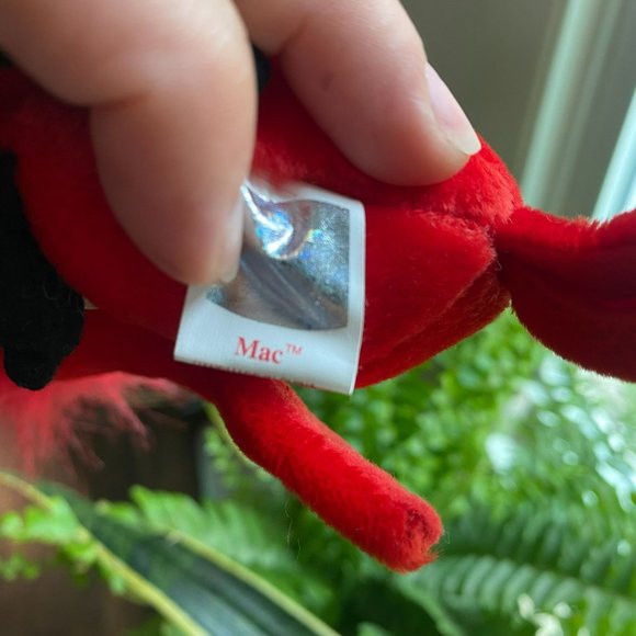 Ty Beanie Baby - Mac the Cardinal Bird - Style Number #04225 - Picture 6 of 6